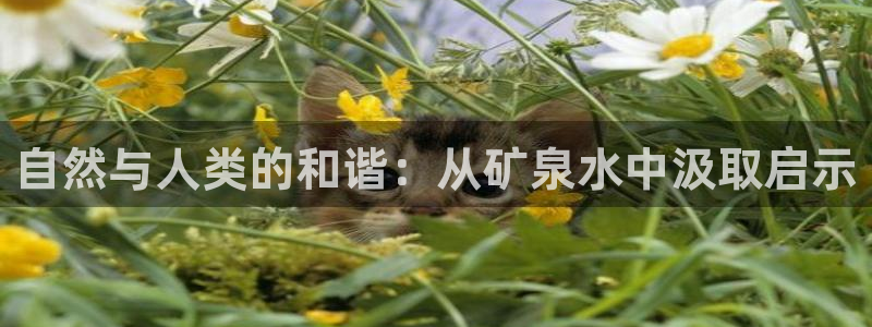 自然与人类的和谐：从矿泉水中汲取启示
